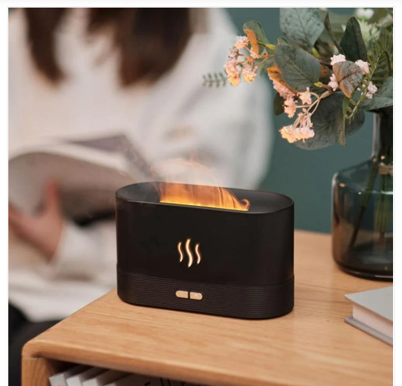 Portable Air Purifier